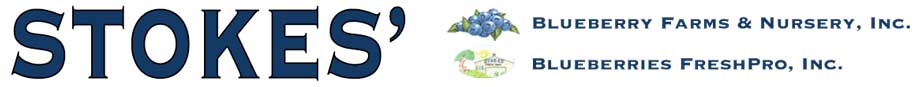 Stokes' Blueberry Farms & Nursery, Inc. | Blueberries FreshPro Logo
